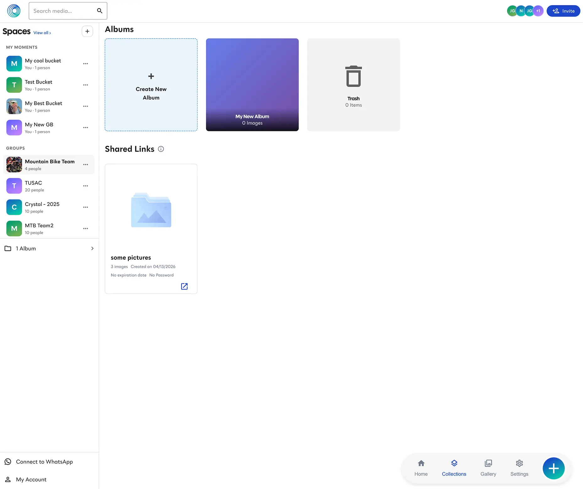 Collections home with albums and shared links